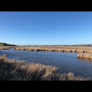 Meet your Posher, Hengda